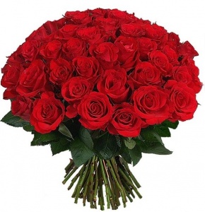 Роза (красная)