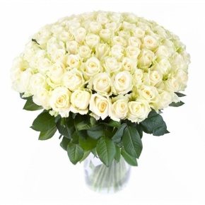 Роза (белая)