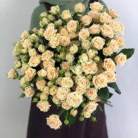 Кустовая Роза